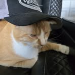 Corbin Barker - Facebook Profile Picture of Corbin Barker (@corbin.barker) on Facebook