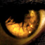 Profile Picture of Albert Chavez (Immo) (@Toxius) on Youtube