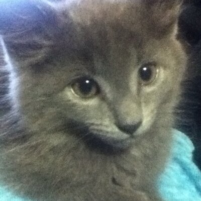 Profile Picture of Jessica Takacs (@TakacsJessica) on Twitter