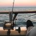Profile Picture of Joel Colón M (@joelcolnm) on Pinterest