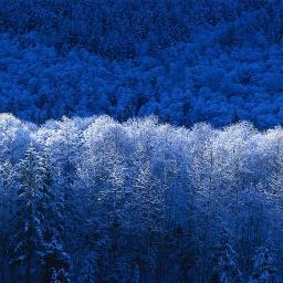 Profile Picture of Pawel Nowak (@pawelnowak561) on Twitter