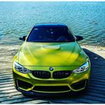 Profile Picture of amir (@amir._.hodzic) on Instagram