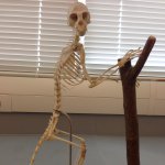 Profile Picture of Erik Barlowe (@erikthebarbaric) on Instagram