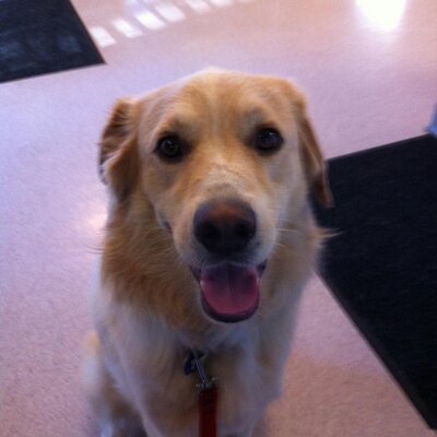 Profile Picture of Douglas Reiners (@DougReiners) on Twitter