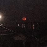 Profile Picture of sam (@sam.constantino_) on Instagram