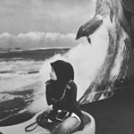 Profile Picture of Hani Ibrahim (@hani_ibrahim46) on Instagram