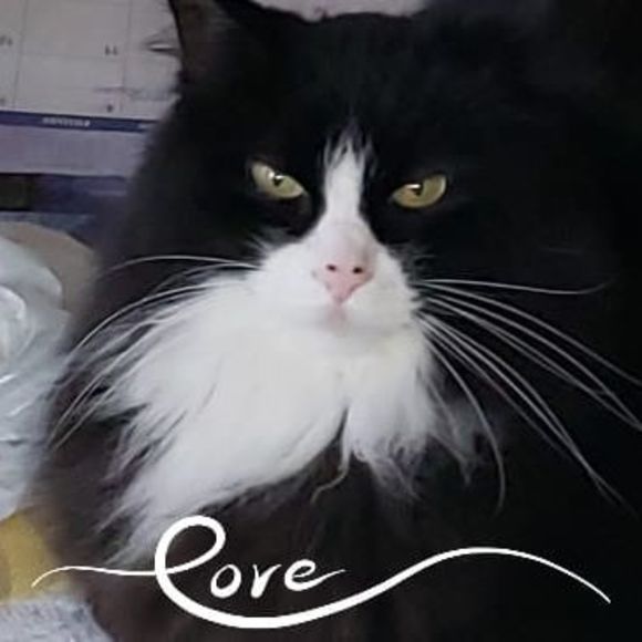 Profile Picture of Clara Daintry (@claire_daintry) on Poshmark