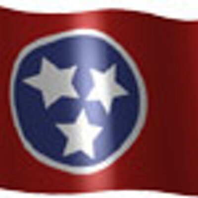 Profile Picture of (fake) Chris DeVaney (@TennesseeGOP) on Twitter