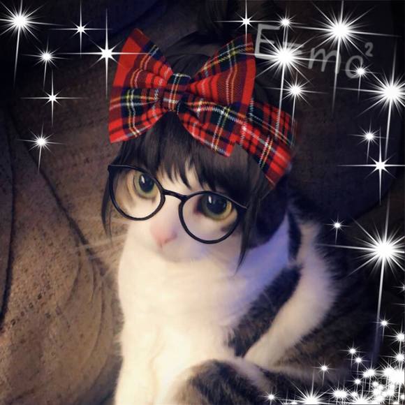 Profile Picture of Sheryl Conners (@sherylconners) on Poshmark