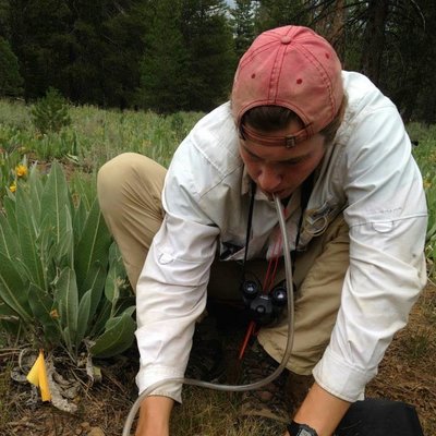 Profile Picture of Marshall McMunn (@oecologia) on Twitter