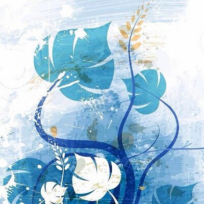 Profile Picture of Brayden Hayes (@BraydenH98) on Twitter