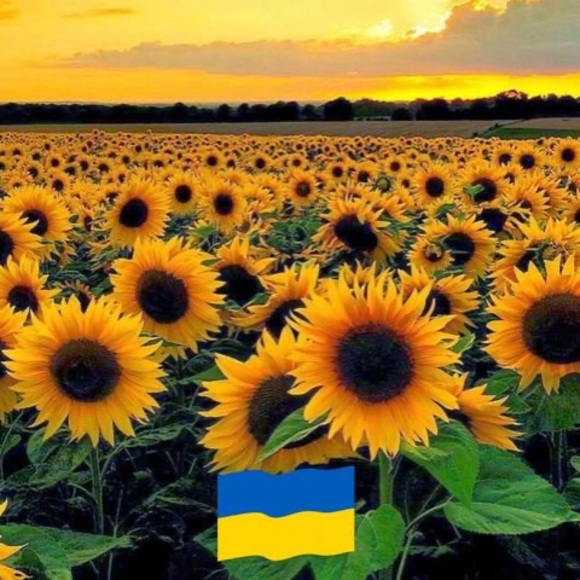 Profile Picture of Nadine Wright (@nadinewright3) on Poshmark