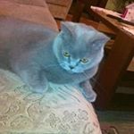 Profile Picture of Eva (@eva_flajsingerova) on Instagram