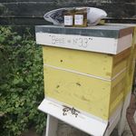 Profile Picture of Natalie & Steve Rossiter (@bees_at_33) on Instagram