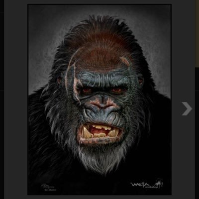 Profile Picture of King Kong (@MichaelAntone8) on Twitter