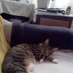 Profile Picture of Richard Backstrom (@richard.backstrom.7) on Facebook