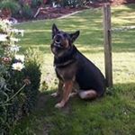 Profile Picture of Thomas Eul (@eulthomas) on Instagram