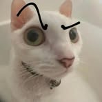 Profile Picture of Enzo Raran Jacobs (@enzo.raran.jacobs) on Facebook