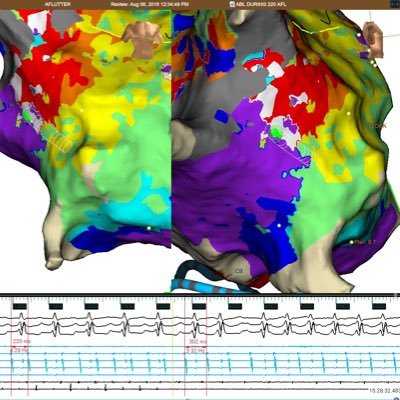 Profile Picture of David Whitmarsh (@d_whitmarsh) on Twitter