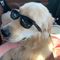 Profile Picture of Mark Reisinger (@mark.reisinger.37) on Facebook