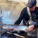 Profile Picture of Paul Hurtubise (@paul_4695) on Instagram