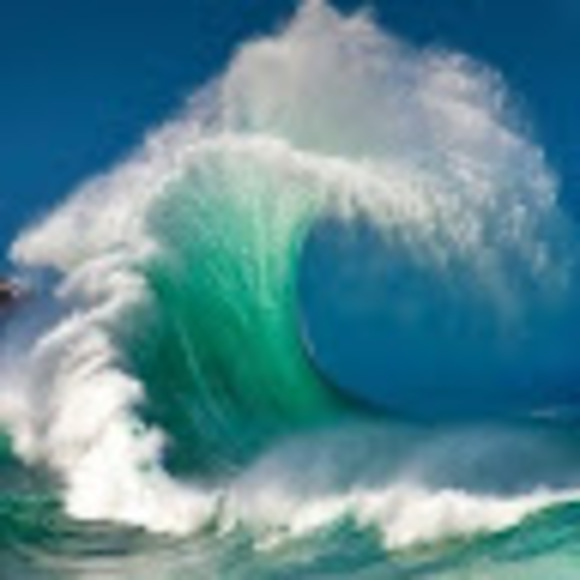 Profile Picture of Sue Misleh (@suemisleh) on Poshmark