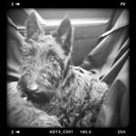 Profile Picture of marcus__harper (@marcus__harper) on Instagram