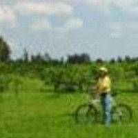 Profile Picture of Patricio Paez (@patricio-paez) on Quora