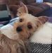 Profile Picture of Cynthia D Gilliam (gilliam) (@cindy.horn.714) on Facebook