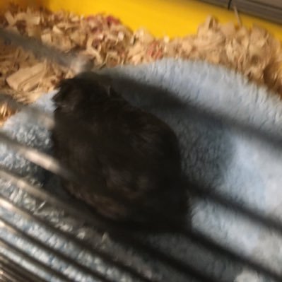 Profile Picture of Kyle Timmerman (@KyleTimmerman4) on Twitter