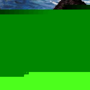 Profile Picture of Cindy Newbill (@408488526) on Myspace