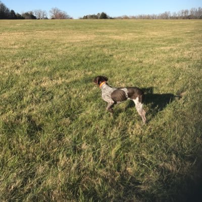 Profile Picture of David Greer (@DavidGreer18) on Twitter
