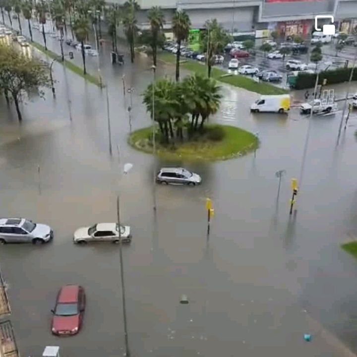 Profile Picture of Pedro Andreu (@pedro.andreu) on Tiktok