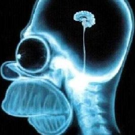 Profile Picture of Francesco Morrone (@Francescoxxl) on Twitter