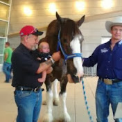 Bob Powell - Youtube Profile Picture of Bob Powell (@bobpowell4644) on Youtube