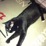 Profile Picture of Danielle Passaro (@passarodanielle) on Instagram