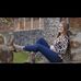 Profile Picture of Gabriella Ritter (@gabriella.ritter.1) on Facebook