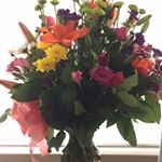 Profile Picture of Austin (@austin_mackenzie_robertson) on Instagram