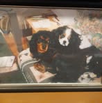 Profile Picture of Edward Halse (@Edward-Halse) on Facebook