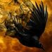 Profile Picture of Marion Hopp (@marion.hopp.1004) on Facebook