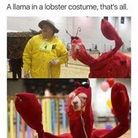 Profile Picture of Luke Brewer (@luke-brewer-10) on Quora