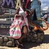 Profile Picture of Josette Bazile (@@josettebazile) on Tiktok
