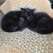 Ava Long - Youtube Profile Picture of Ava Long (@avalong4549) on Youtube