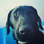 Profile Picture of jamesrandallpotterjr (@jamesrandallpotterjr) on Instagram
