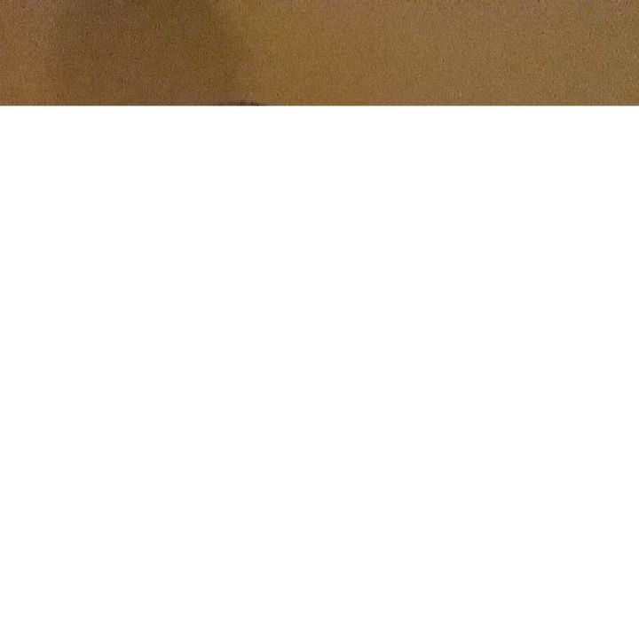 Profile Picture of Conover (@conover4) on Tiktok