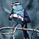 Profile Picture of John  Pankert (@john_papi) on Instagram