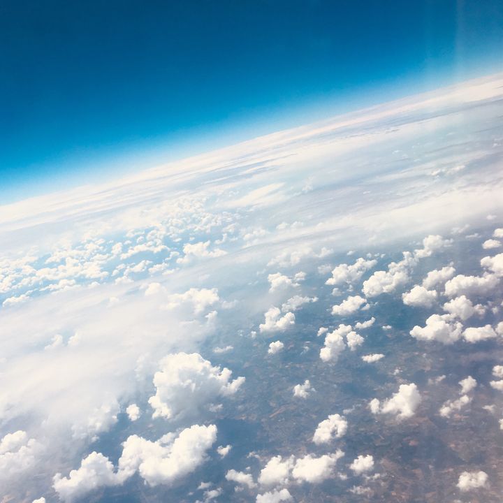 Profile Picture of amelie wegmann (@amelie.wgmnn) on Tiktok