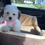Profile Picture of Pat Champlin (@pat.champlin.14) on Facebook
