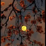 Profile Picture of David Castillo (@David-Castillo) on Facebook