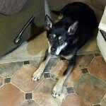 Profile Picture of Richard Hatfield (@richard.hatfield) on Instagram